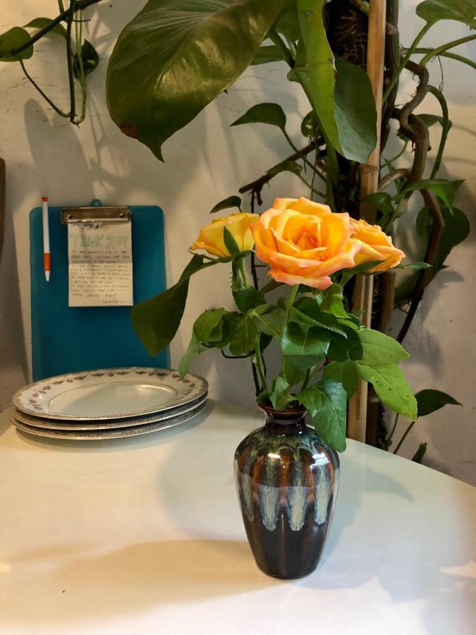 Simple & Cozy Hanoi Homestay Buitenkant foto